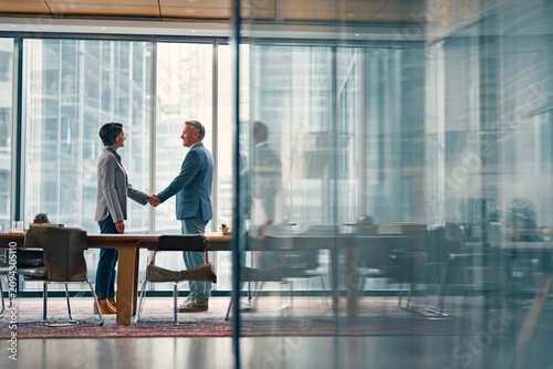Professional business partners shaking hands in modern office