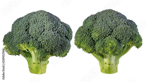Konstfotografi Isolated two fresh green broccoli heads standing upright, healthy raw vegetable food ingredient concept