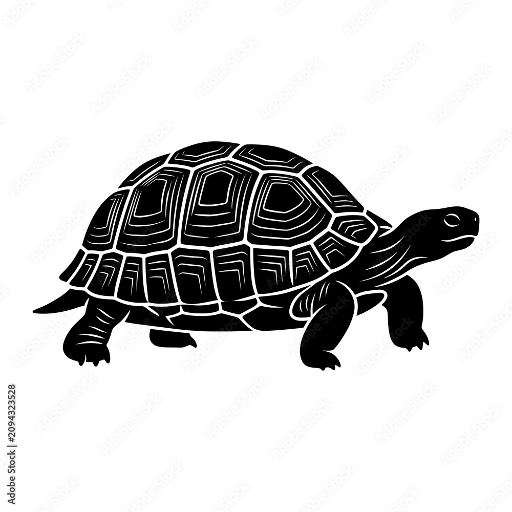 Fototapeta premium Black and white geometric tortoise vector illustration