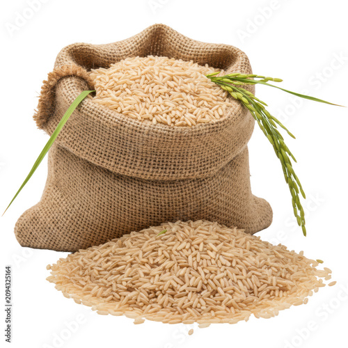 Burlap sack overflowing with long-grain brown rice on white background with green stalks and spilled grains in sharp focus concept of organic harvest atmosphere