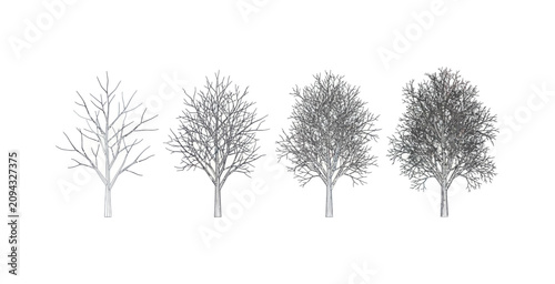 Cuadro en lienzo Stylized Tree Foliage Progression Icon Set