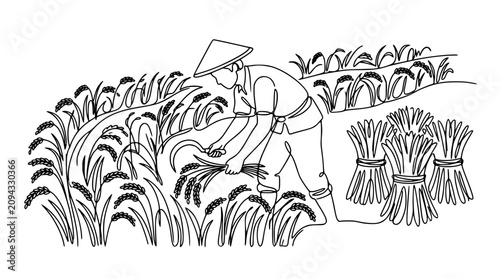 Photos Asian farmer harvesting rice in paddy field line art illustration featuring trad