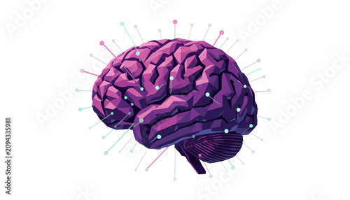 Foto Human Brain Anatomy Purple Color.