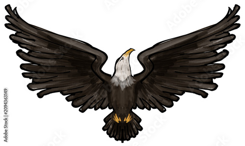 Obraz na płótnie Eagle flying and spreading the wings