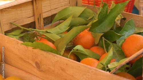 Mediterranean oranges at local fruit market