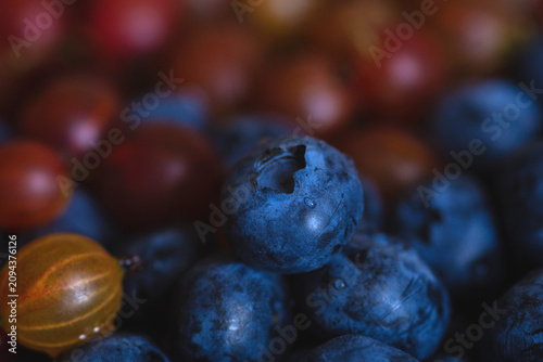 blueberries on a branch