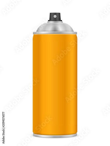 Paint spray can