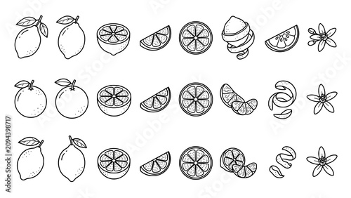 Foto Collection of citrus fruit icons including lemons oranges slices and blossoms