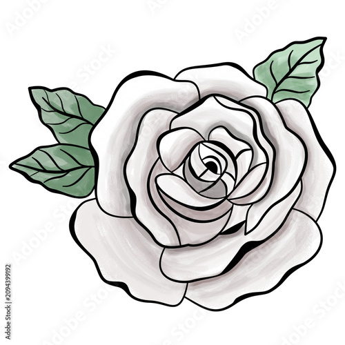 white rose flower illustration with soft gouache brush texture.