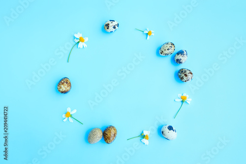 Quail eggs with white flowers blooming on blue background, Partridge eggs