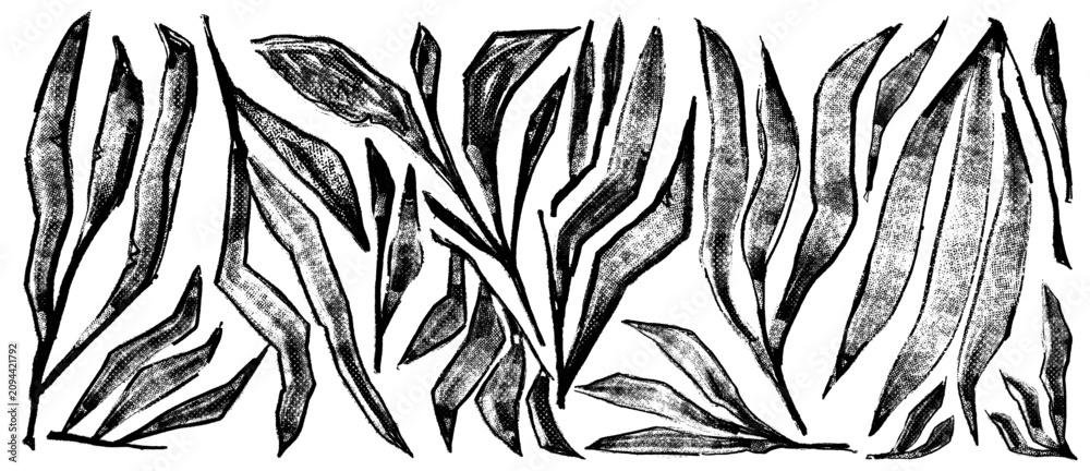 Obraz premium Set of abstract art vintage black tropical line art leaves. Stile vector halftone. Wallpaper design with leaves shapes and scribble doodle linear leaf. Collection of vintage botanical floral elements.