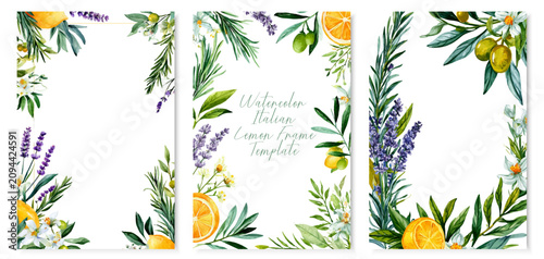 Photos Watercolor collection featuring italian herbs and fruit, artfully arranging rose