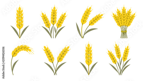 Quadro su tela Set of golden wheat ears and sheaves in flat vector style