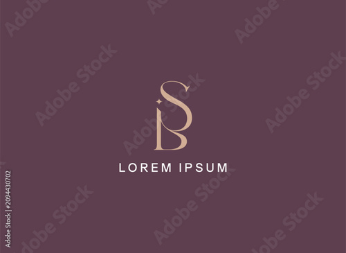 Bild auf Leinwand Unique sp letter typography brand logo design, ds golden logo, ps logo mark
