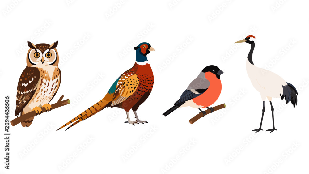 Obraz premium Set of four colorful bird illustrations on a white background