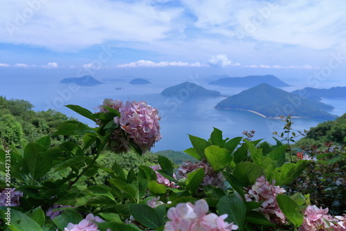 紫雲出山のアジサイと瀬戸内海の島々