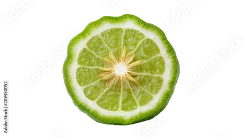 Obraz na plátně Isolated fresh half kaffir lime slice showing rough skin and juicy green pulp fr