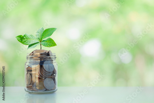 Stacked coins with green leaves on blur nature background. Business growth, financial success, investment strategy, capital growth, environmental sustainability, and eco-friendly economic development.