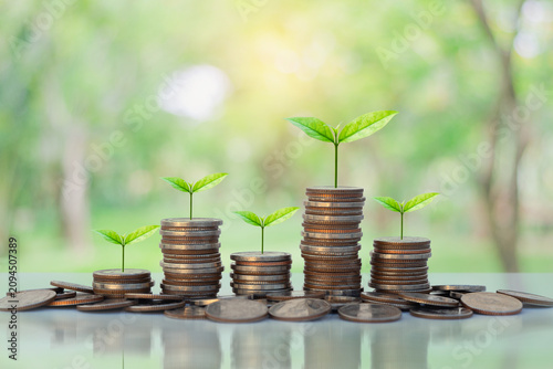 Green plants growth on coins stacks against a blur natural background, for financial growth, wealth accumulation, sustainable investment, savings, business success, and long-term economic development.