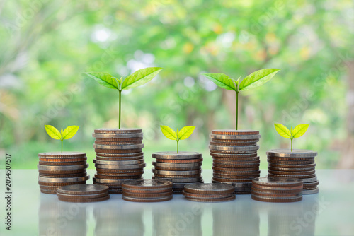 Green plants growth on coins stacks against a blur natural background, for financial growth, wealth accumulation, sustainable investment, savings, business success, and long-term economic development.