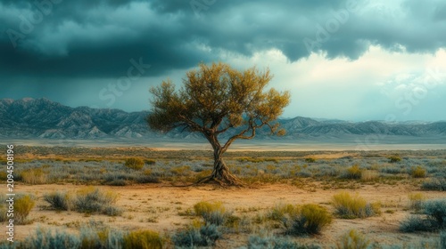 Solitary windswept tree on arid scrubland under dramatic storm clouds with distant mountains, evoking solitude and quiet resilience