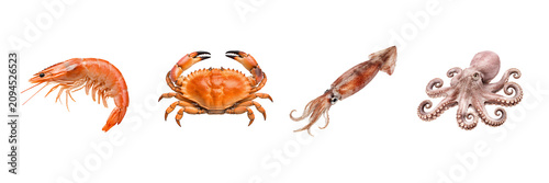 Seafood Collection with Shrimp Crab Squid and Octopus Isolated on Transparent Background