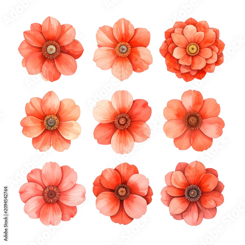 Bright Coral Flowers Arranged in Grid on Transparent Background