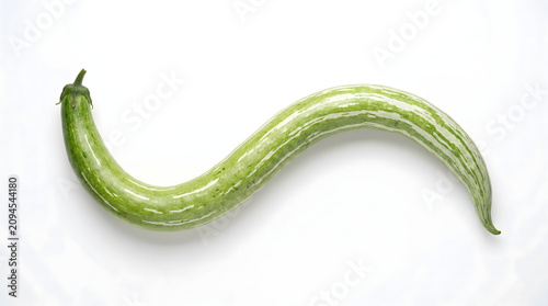 Fresh green striped snake gourd vegetable isolated on a clean white background