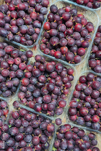 Ripe dark red gooseberries in clear plastic containers