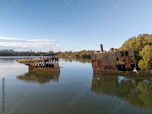 Shipwreck with forest growing out of its rusty hull on sunny day from low aerial view. Wreck in located in Homebush Bay, Parramatta river, Sydney Australia.
