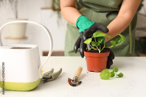 Person in gardening gloves ...