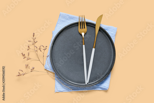 Modern black ceramic plate ...