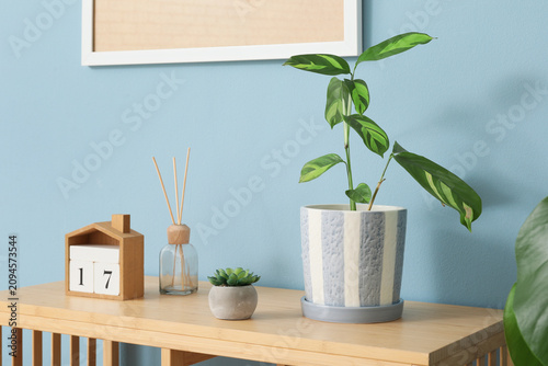 Indoor plant in a striped p...