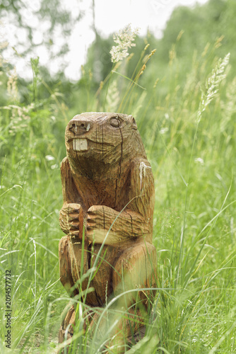 Funny wooden beaver or marmot sculpture carved from log in field