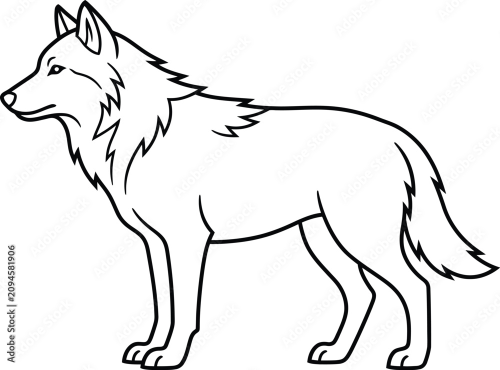 Fototapeta premium wolf isolated on white background