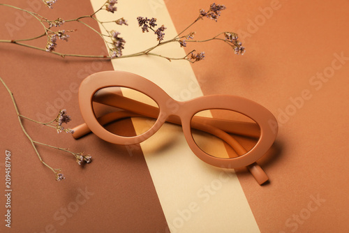 Stylish brown sunglasses an...