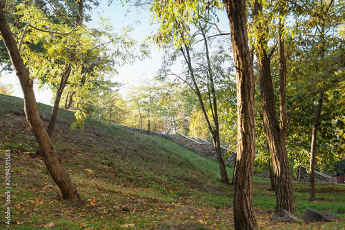 Beautiful autumn park with ...