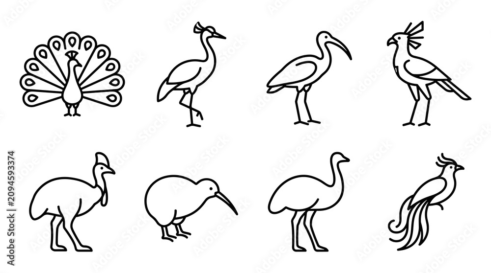 Obraz premium Black Exotic Bird Collection Line Art Vector Illustration Icon Set with Peacock Crane Pelican Hoopoe Cassowary Kiwi Ostrich and Bird of Paradise