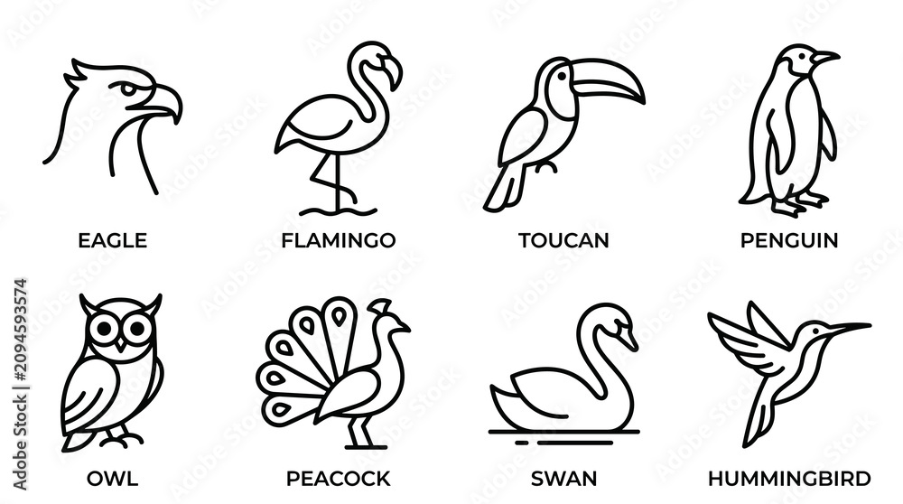 Obraz premium Bird Species Line Art Icon Set Featuring Eagle, Flamingo, Toucan, Penguin, Owl, Peacock, Swan and Hummingbird Vector Illustration