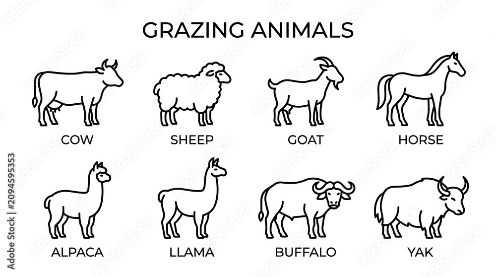 Fototapeta premium Grazing Farm Animal Outline Icon Collection in Minimal Monoline Livestock Line Art Style Vector Illustration Set