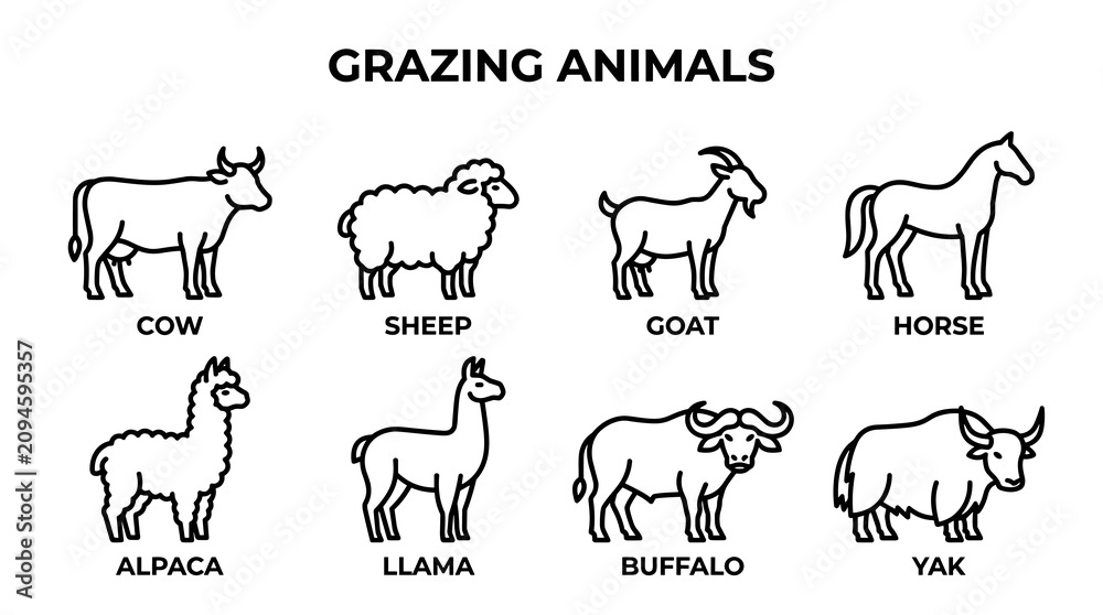 Fototapeta premium Grazing Farm Animals Icon Set with Cow, Sheep, Goat, Horse, Alpaca, Llama, Buffalo and Yak, Minimal Black Outline Vector Collection