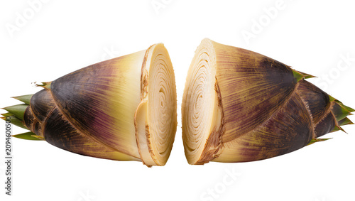 Schilderij op canvas Isolated fresh raw bamboo shoot cut in half displaying its intricate edible laye