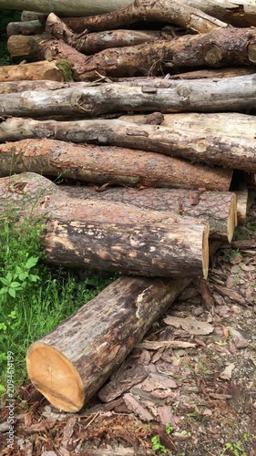 Felled trees in a forest, deforestation logging industry in the woodlands, stack of cut logs, wooden material in Westerwald Germany Europe vertical video 