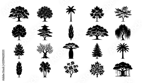 Photos Assorted Shady Tree Silhouette Vector Bundle Black Nature Collection on White Ba
