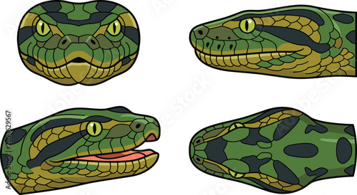 Canvastavla Realistic Python Snake Head Vector Collection with Front, Side, Open Mouth, and