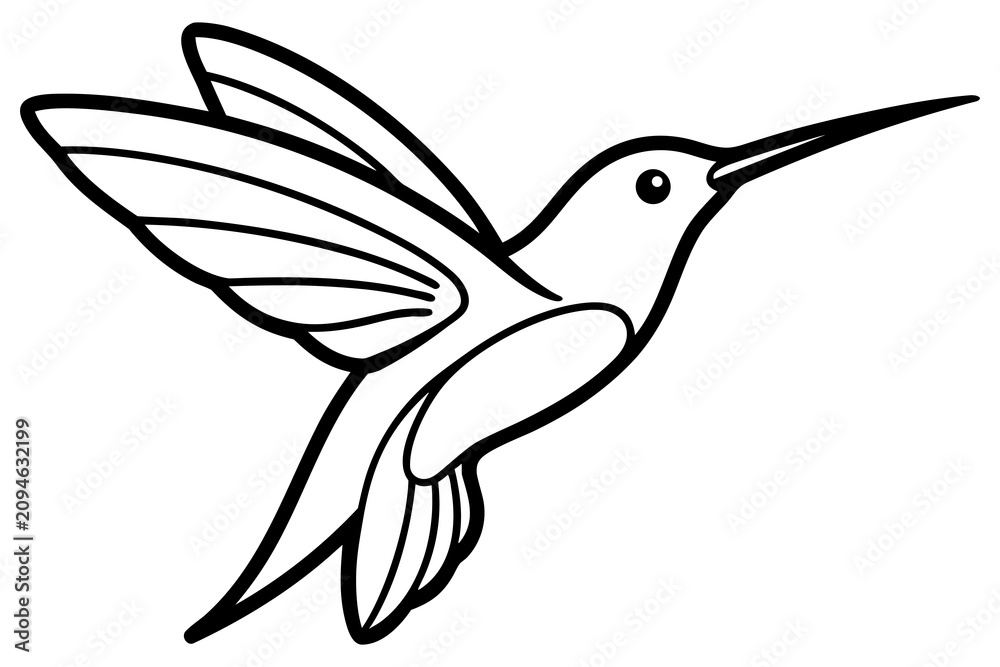 Fototapeta premium Hummingbird Flying Line Art Illustration Hand Drawn Tropical Bird Vector Design