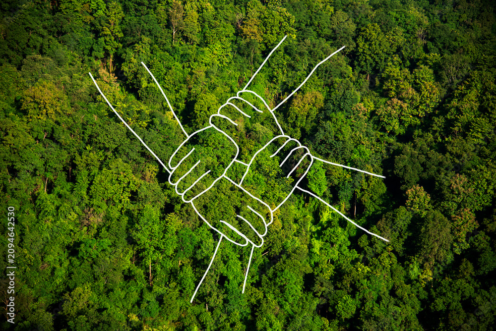 Obraz premium Eco green earth ESG environment sustainable governance. Save world zero waste energy protect Eco green sustainable hands holding together. Top view tropical rain forest ecology on earth day