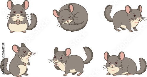 Foto Cute chinchilla cartoon vector illustration collection featuring sitting, standi