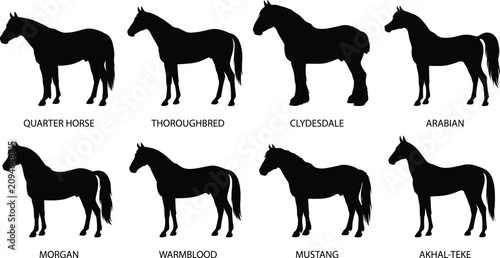 Tablou pe pânză Horse Breed Silhouette Icon Collection Featuring Quarter Thoroughbred Clydesdale