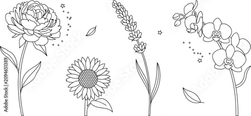 Floral vector collection with peony sunflower lavender and orchid line art botanical elements for minimalist designs coloring book and elegant tattoos
